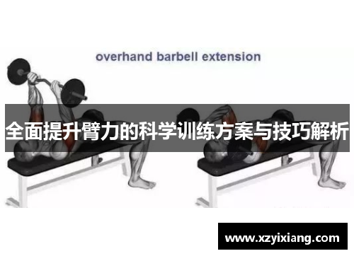 全面提升臂力的科学训练方案与技巧解析